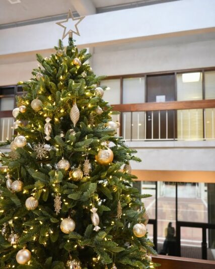 fb-159601077411766_1231896672415345