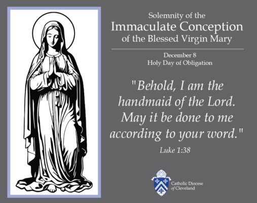 fb-198802963478511_1267215198768558