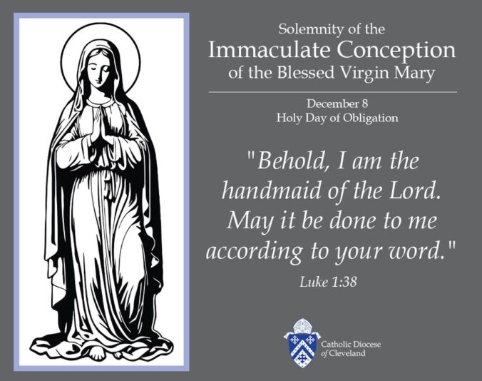 fb-198802963478511_1267215198768558