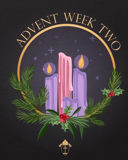 fb-49347972598_1304031061762721