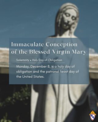 fb-168358359553_1209011457995959