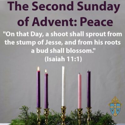 fb-267652796676847_1256580879838612