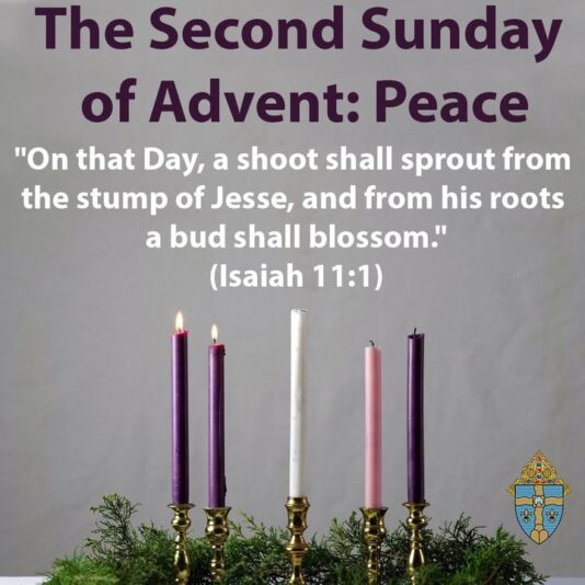 fb-267652796676847_1256580879838612