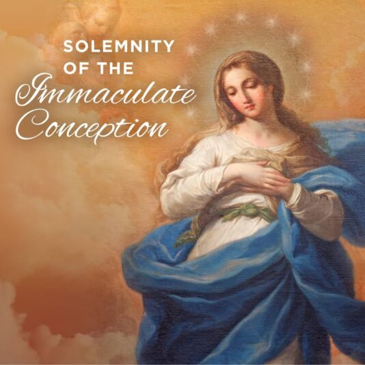 fb-116343758405910_1286340756856829