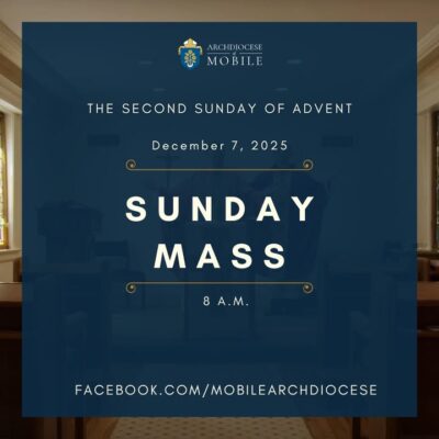 fb-1669188376658004_1493521036107554