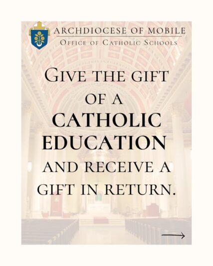 fb-1669188376658004_1492716632854661