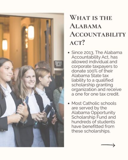 fb-1669188376658004_1492716632854661