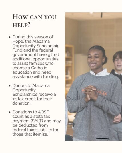 fb-1669188376658004_1492716632854661