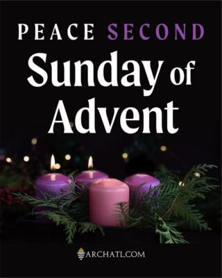 fb-358520518166_1310679537770865