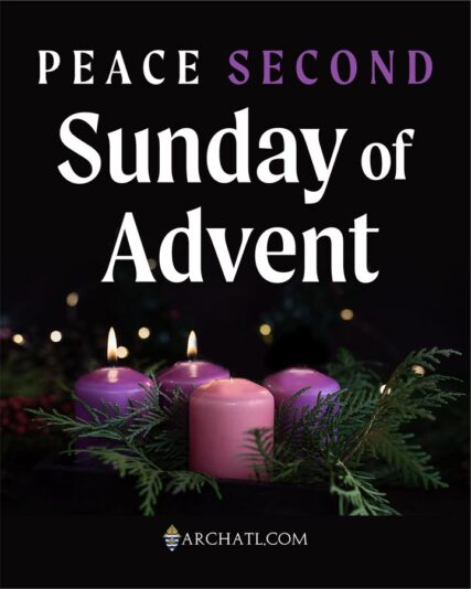 fb-358520518166_1310679537770865