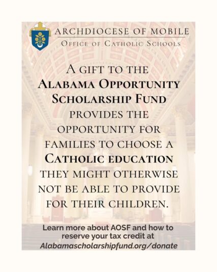 fb-1669188376658004_1492716632854661