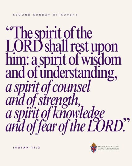 fb-178757502156824_1174105541529348