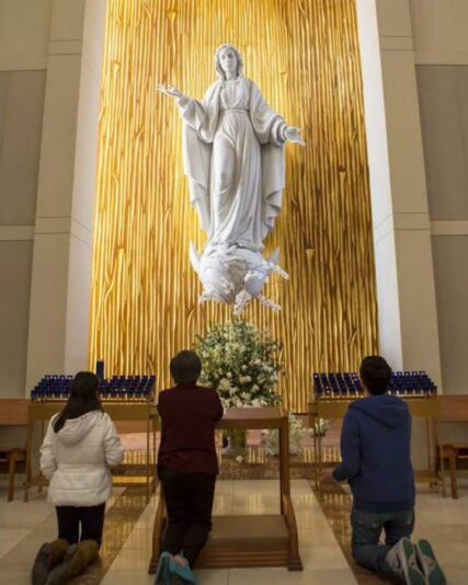 fb-178757502156824_1173011198305449