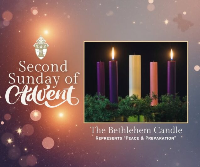 fb-149608895080801_1337162098450840