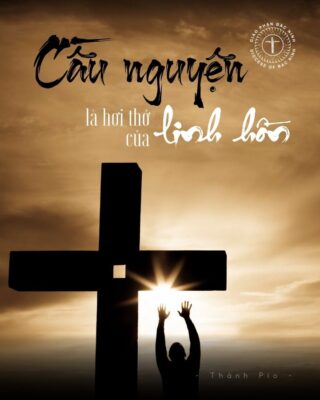 fb-732768673513037_1170267051896844