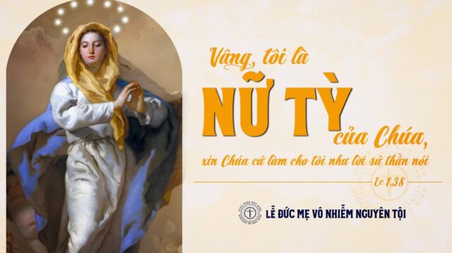 fb-732768673513037_1170242758565940