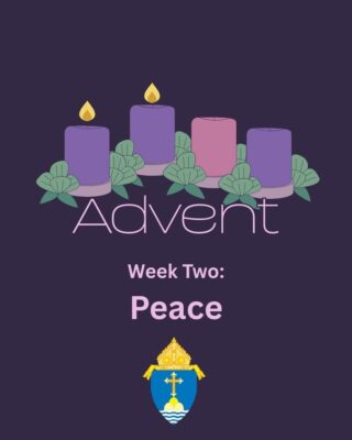 fb-254469157605_1263044142533037