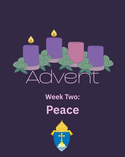 fb-254469157605_1263044142533037