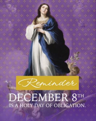 fb-254469157605_1262224279281690