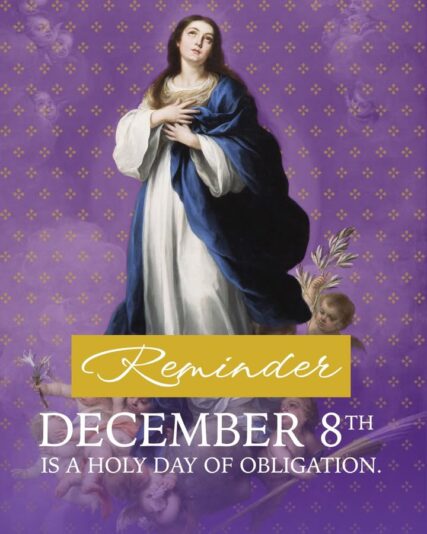 fb-254469157605_1262224279281690