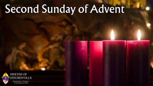 fb-199588210391012_1178292964496528