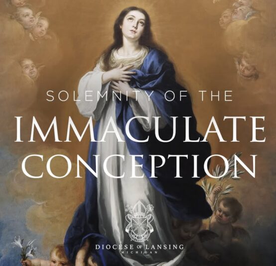 fb-210323997912_1254832190009424