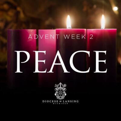 fb-210323997912_1254823526676957