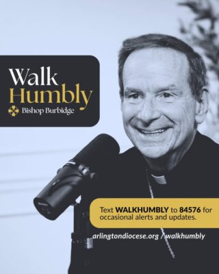 fb-162230245392_1315863817244204