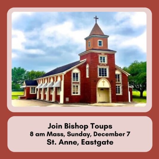 fb-147325878647167_1271169111715689