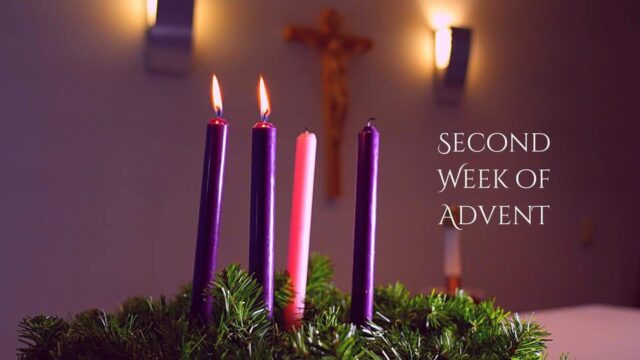 fb-349227201901874_4162436270634782