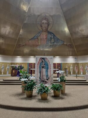 fb-349227201901874_1146905657603596