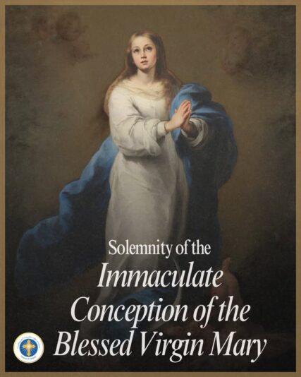 fb-216956945061_1291458436356853