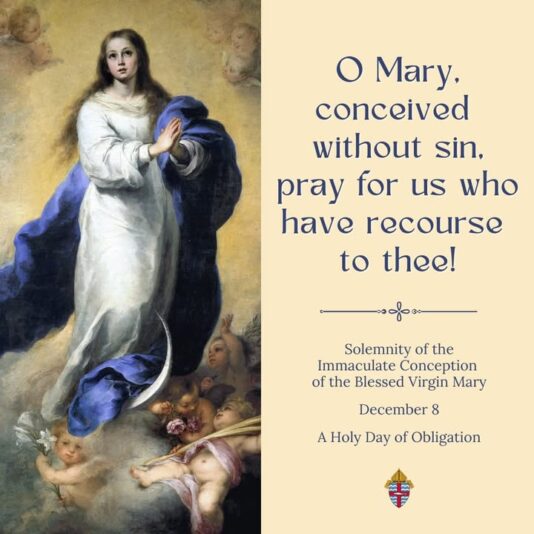 fb-194350237252996_1284557350366681