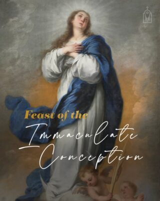 fb-124319130912226_1295909762581449