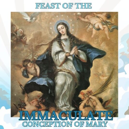 fb-101064066621857_1175566091365982