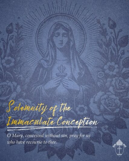 fb-49347972598_1304685858363908