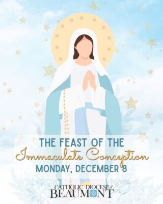 fb-147325878647167_1272592791573321