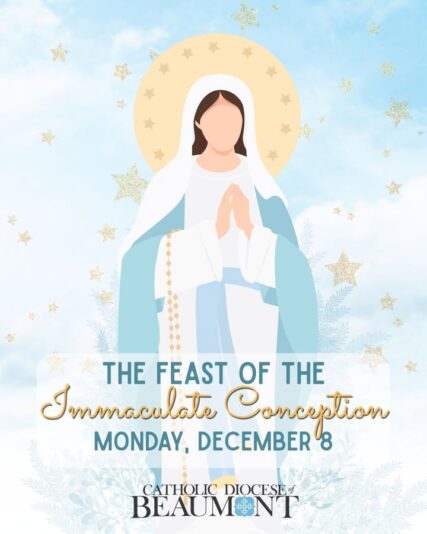 fb-147325878647167_1272592791573321