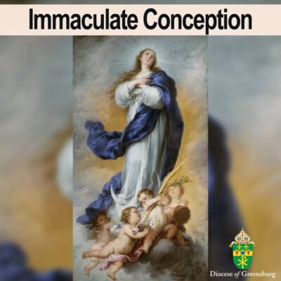 fb-178070992226049_1300087022154581