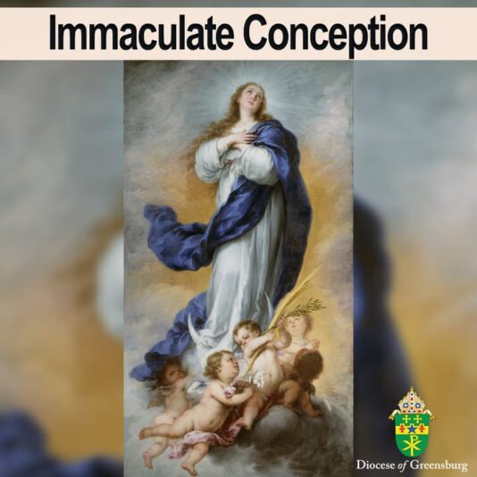 fb-178070992226049_1300087022154581