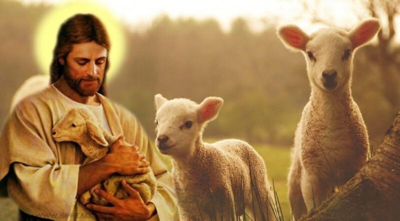 fb-285328895298373_863492969752953