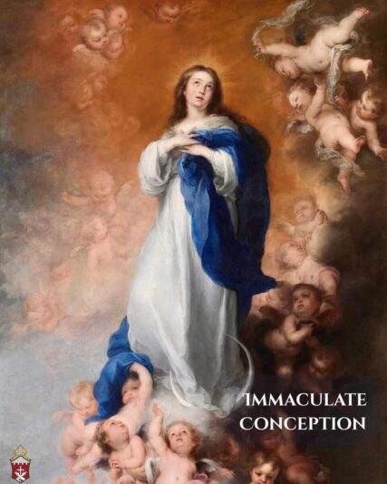 fb-349227201901874_1148759960751499