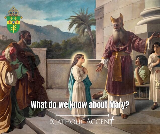 fb-178070992226049_1300239938805956