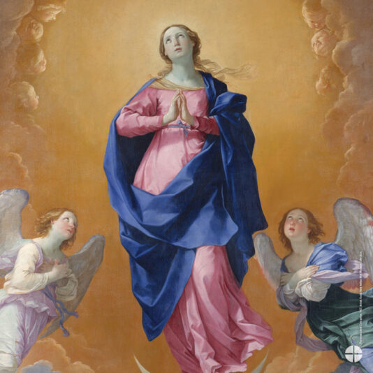 fb-102184176501775_1253003863540764