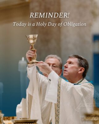 fb-1146610888716848_1309684231200799