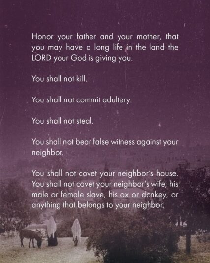 fb-124319130912226_1296019462570479