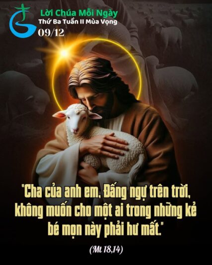 fb-267086443957481_1159955136347191