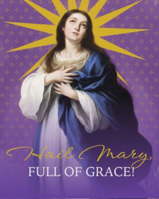 fb-254469157605_1263741519129966