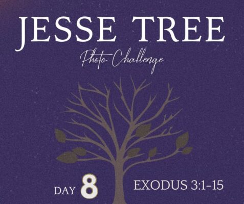 fb-107704176960_1258230713005738