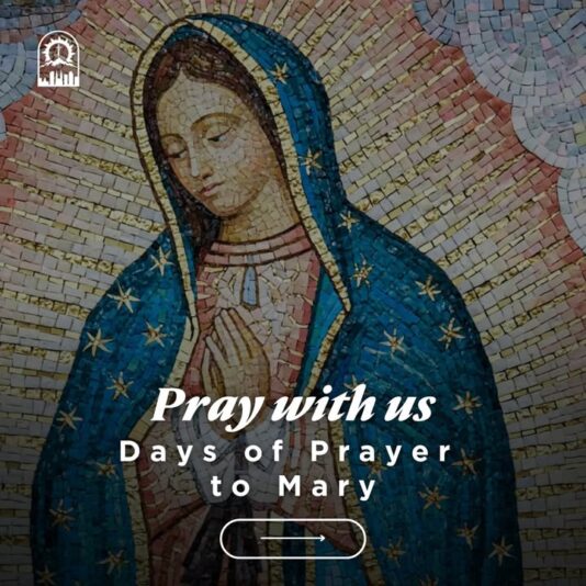 fb-289700111469457_1289399993234436